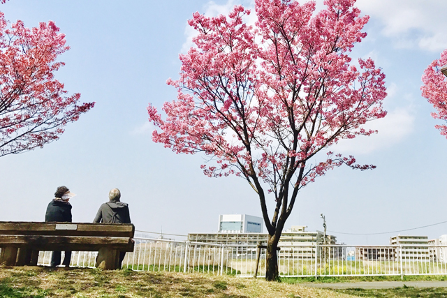遺言に代わる信託
